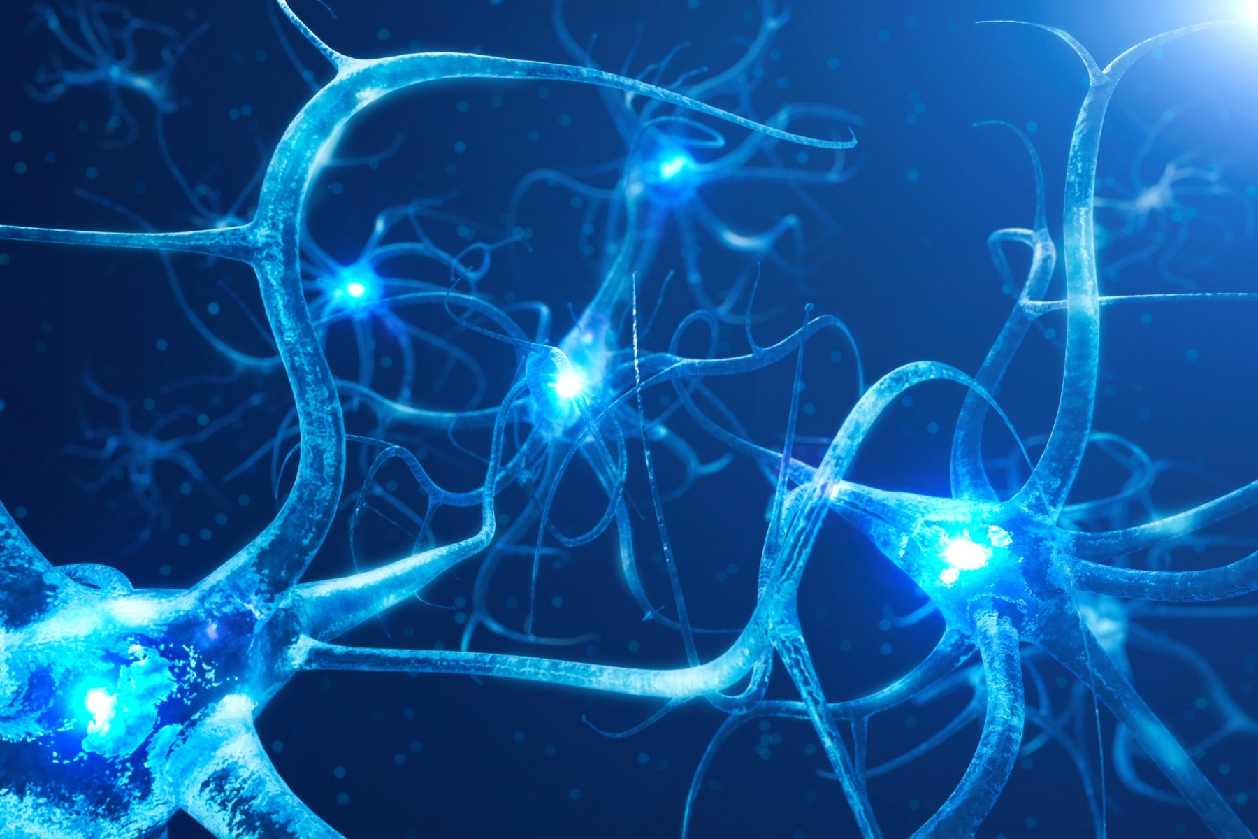 Neuron network