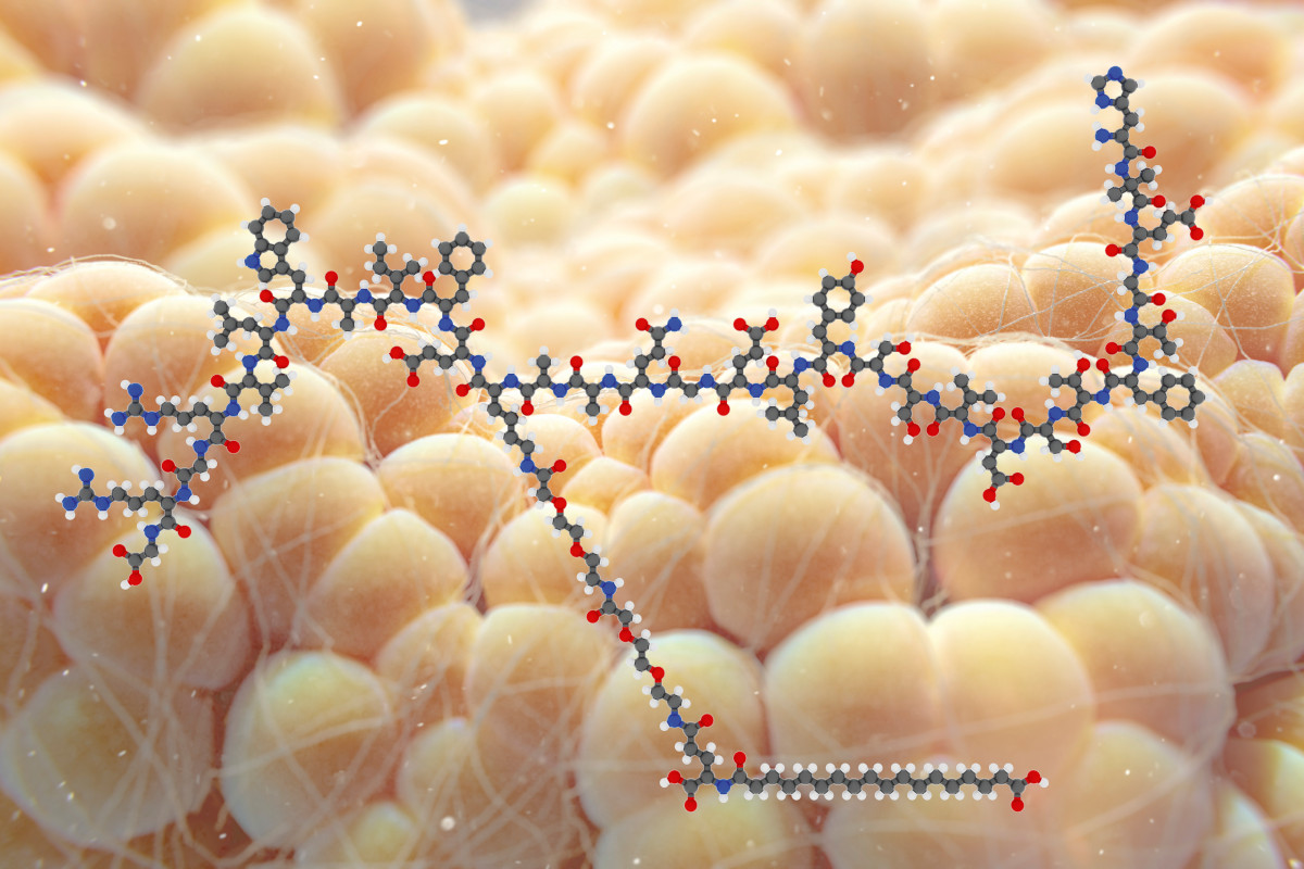 An illustration of the molecular structure of semaglutide, superimposed over some fat cells