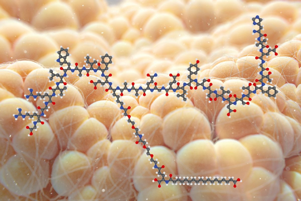 An illustration of the molecular structure of semaglutide, superimposed over some fat cells