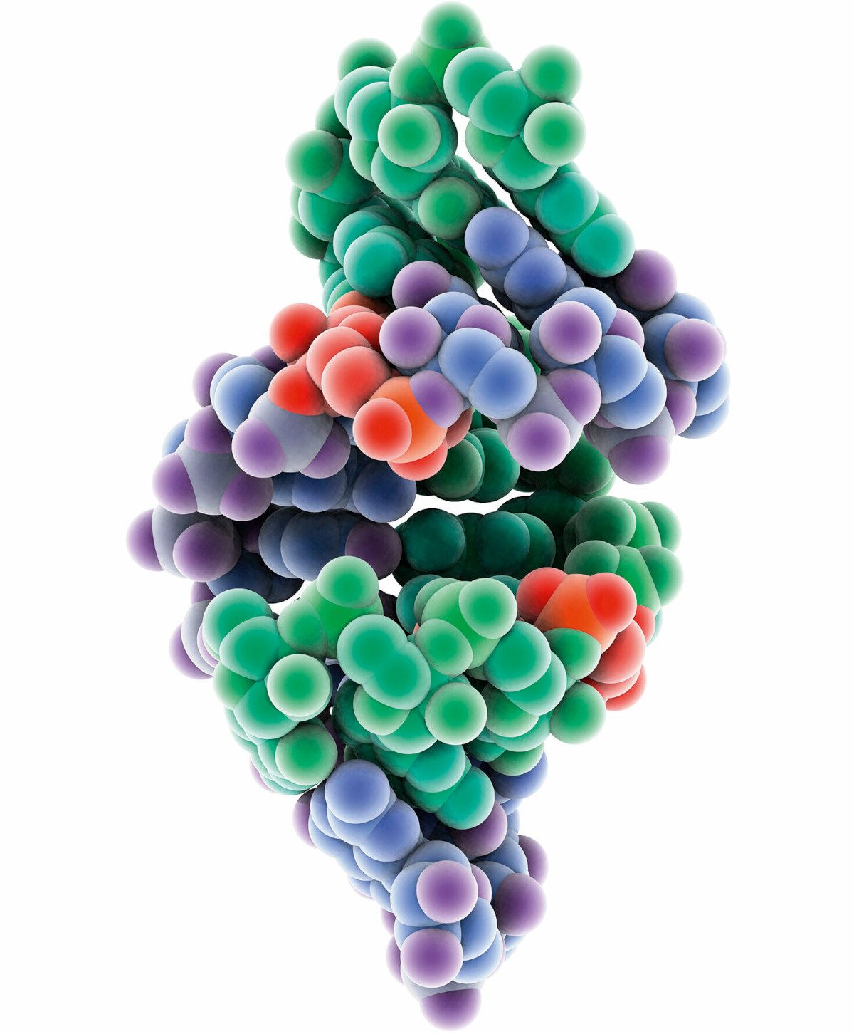 An illustration of an RNA molecule