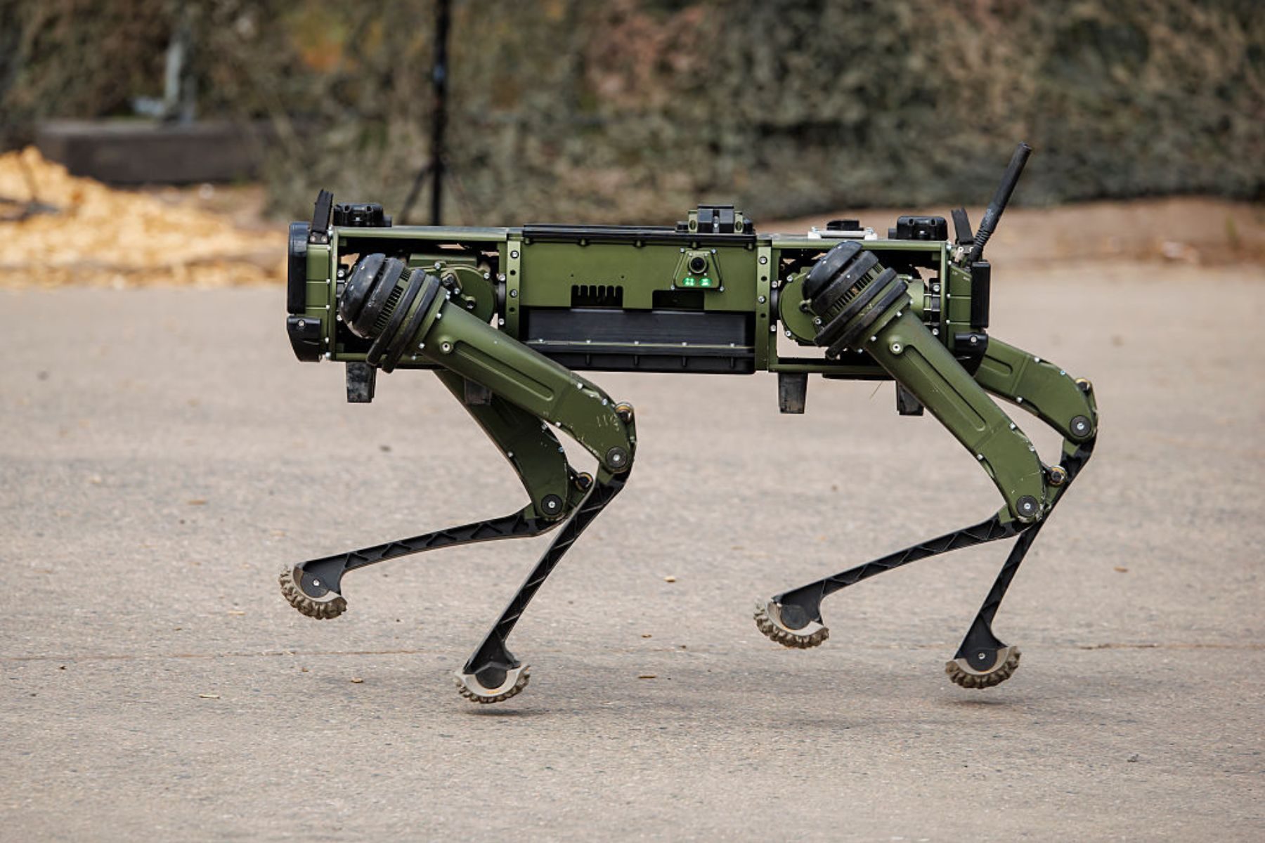 A green four-legged robot