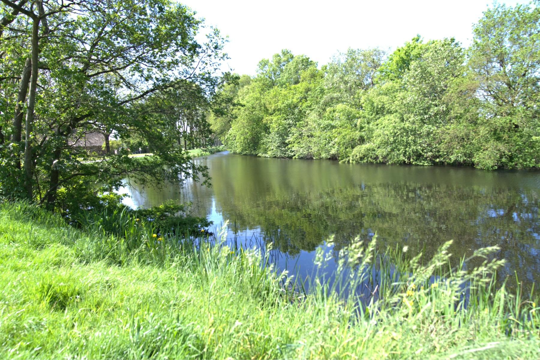 Green bank with river flowing through