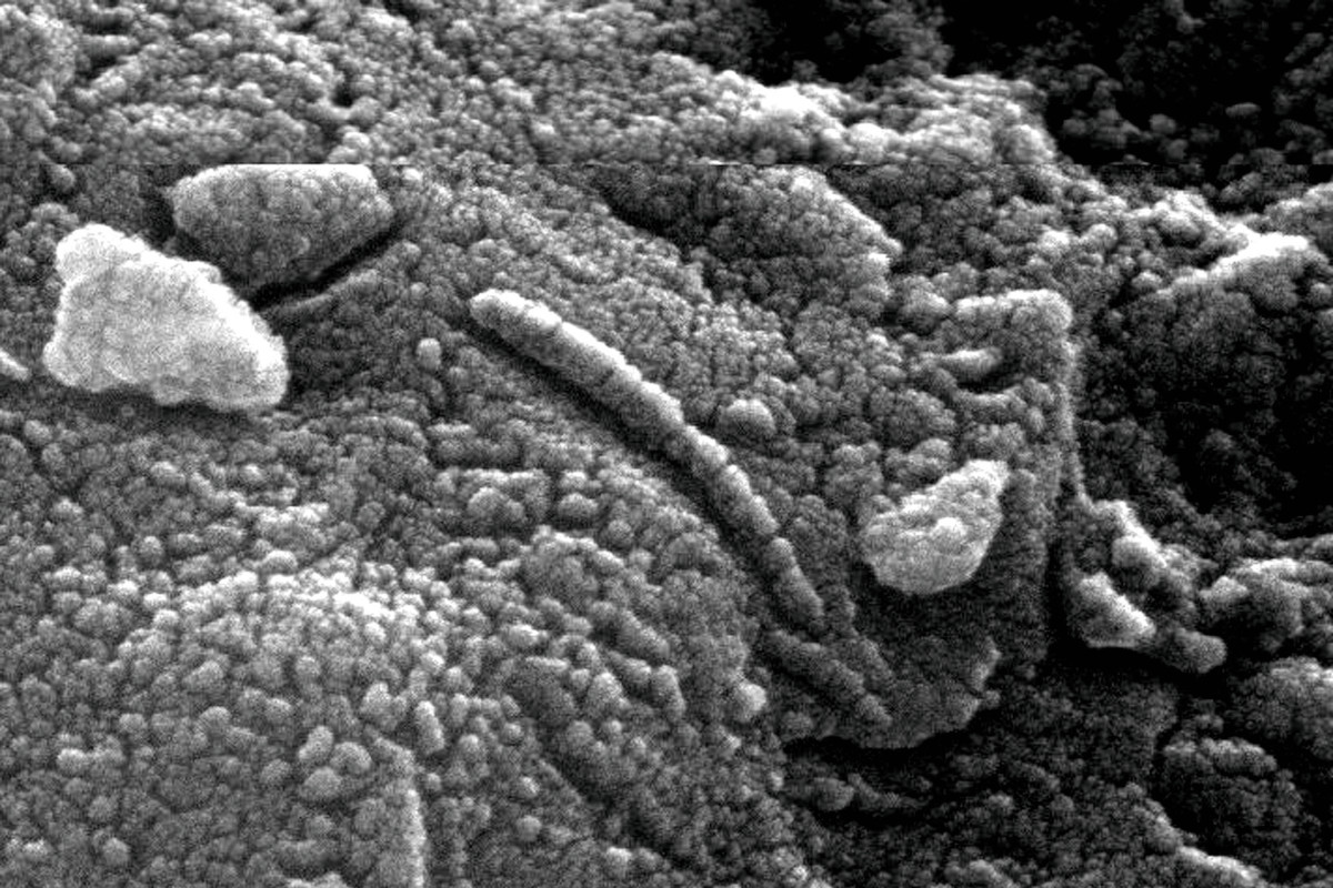 Image of the microscopic structures of the Allan Hills 84001 meteorite