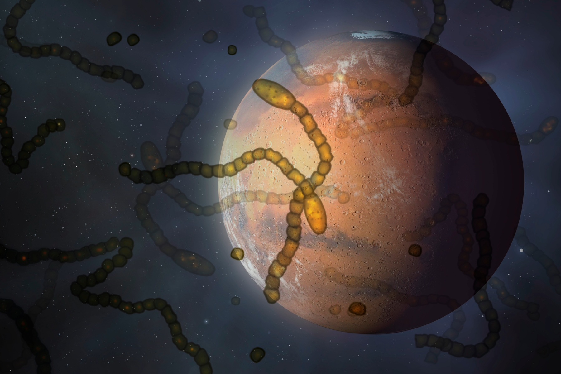 Mars with bacteria superimpoased over it