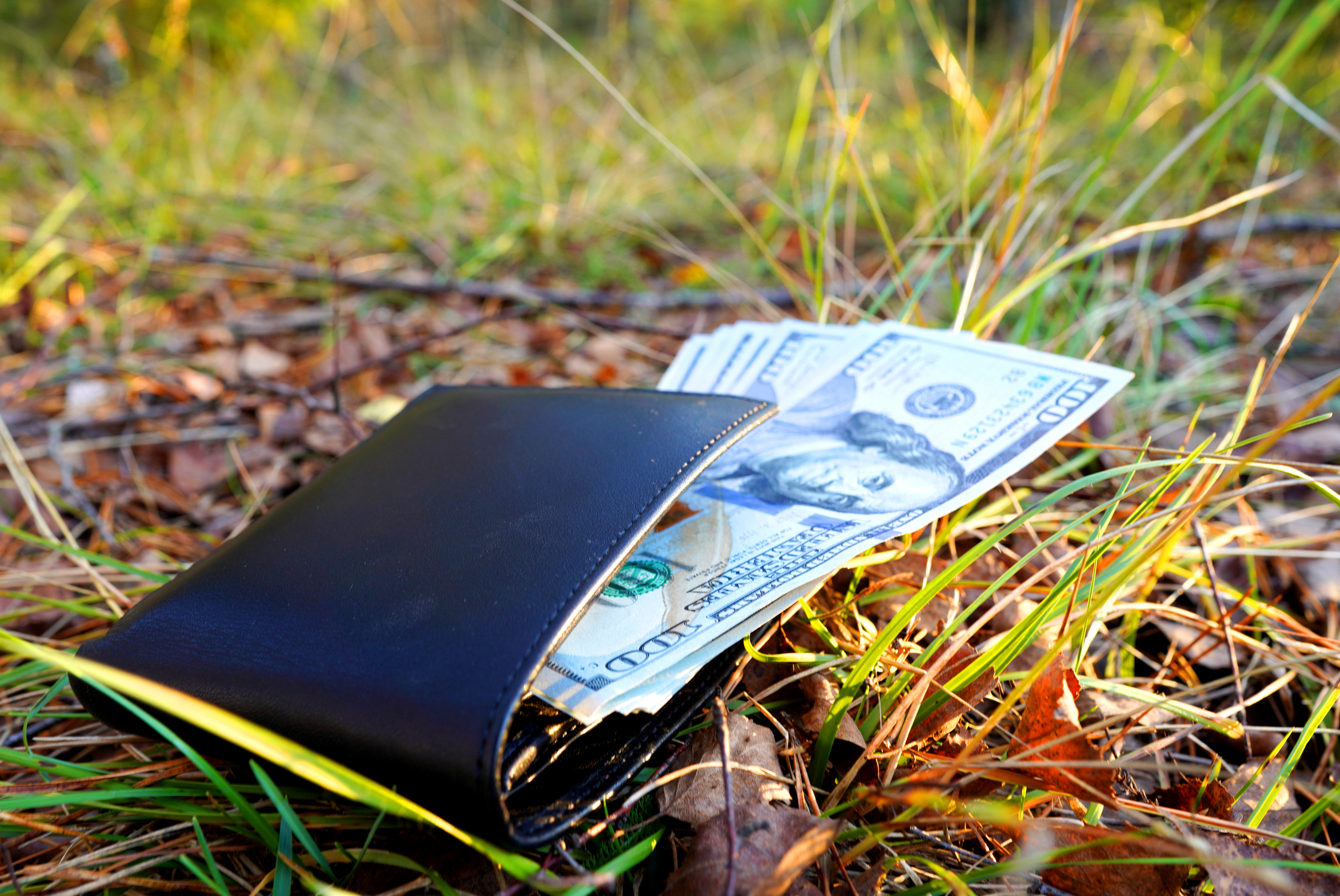 Global Study Ranks Most Honest Countries using Lost Wallets | Level Up English Club