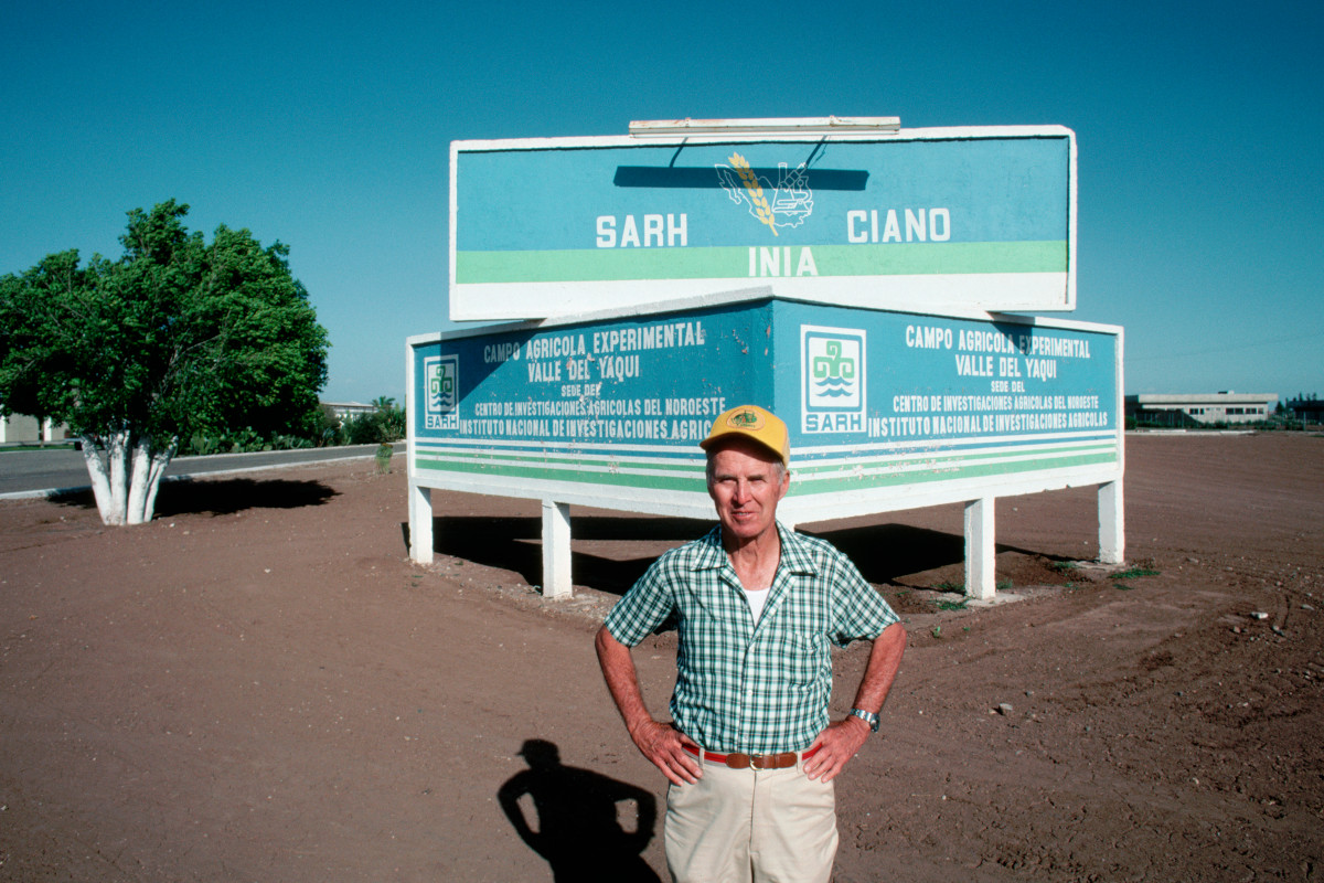 Scientist Norman Barlaug stands near a sign for his experimental wheat field in the Sonora region of Mexico