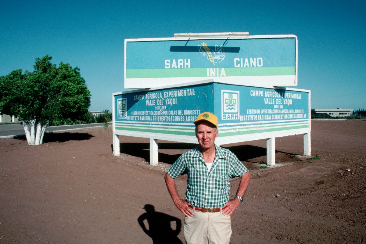 Scientist Norman Barlaug stands near a sign for his experimental wheat field in the Sonora region of Mexico