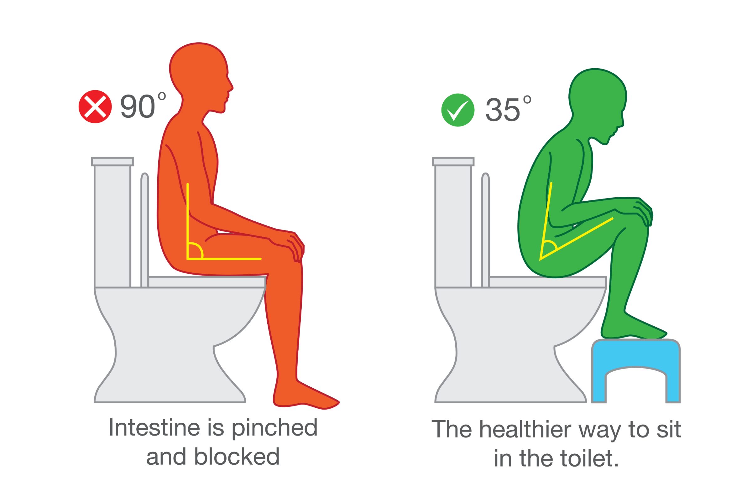 How to sit correctly on a toilet