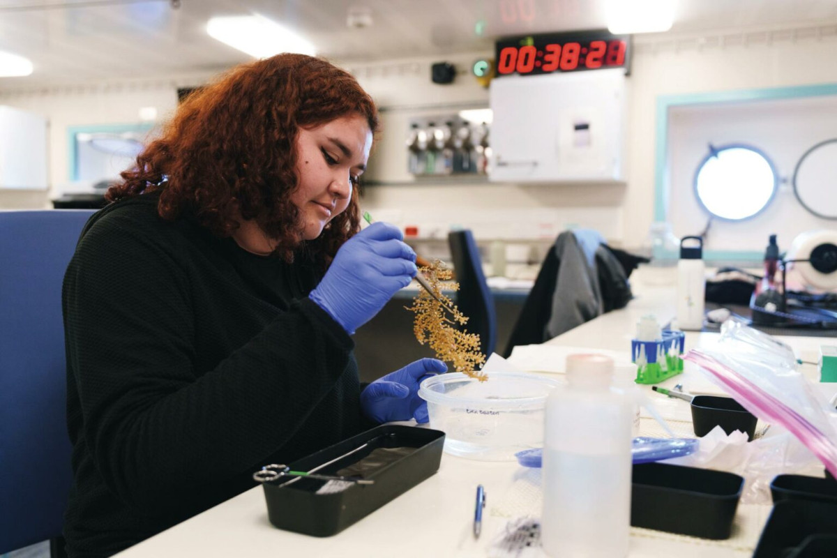 A scientist examining coral sub-samples aboard the Falkor (too) research vessel