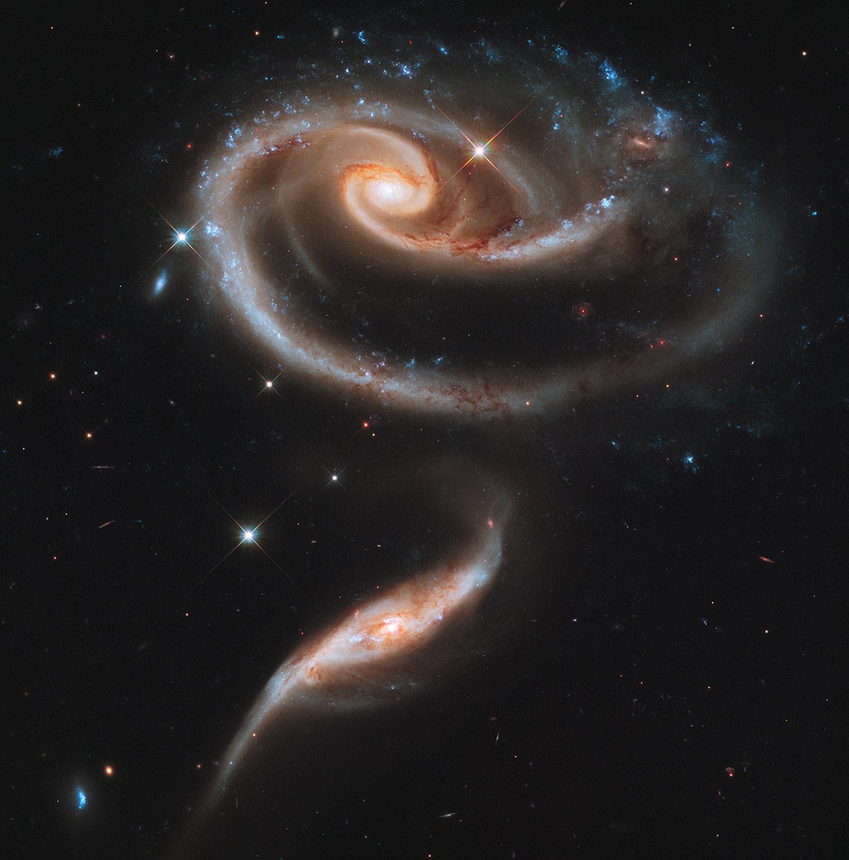 Hubble image of two interacting galaxies, with the larger spiral stretched into a rose‑like shape and a smaller companion just beneath it, surrounded by scattered stars.