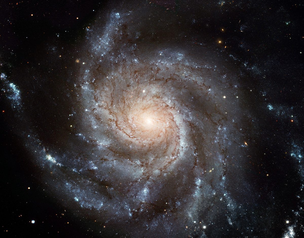 A pinwheel galaxy spiral with a bright centre in deep space scattered with surrounding stars.