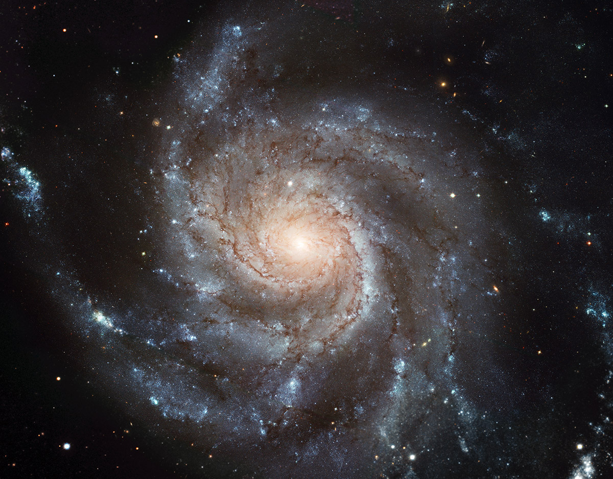 A pinwheel galaxy spiral with a bright centre in deep space scattered with surrounding stars.