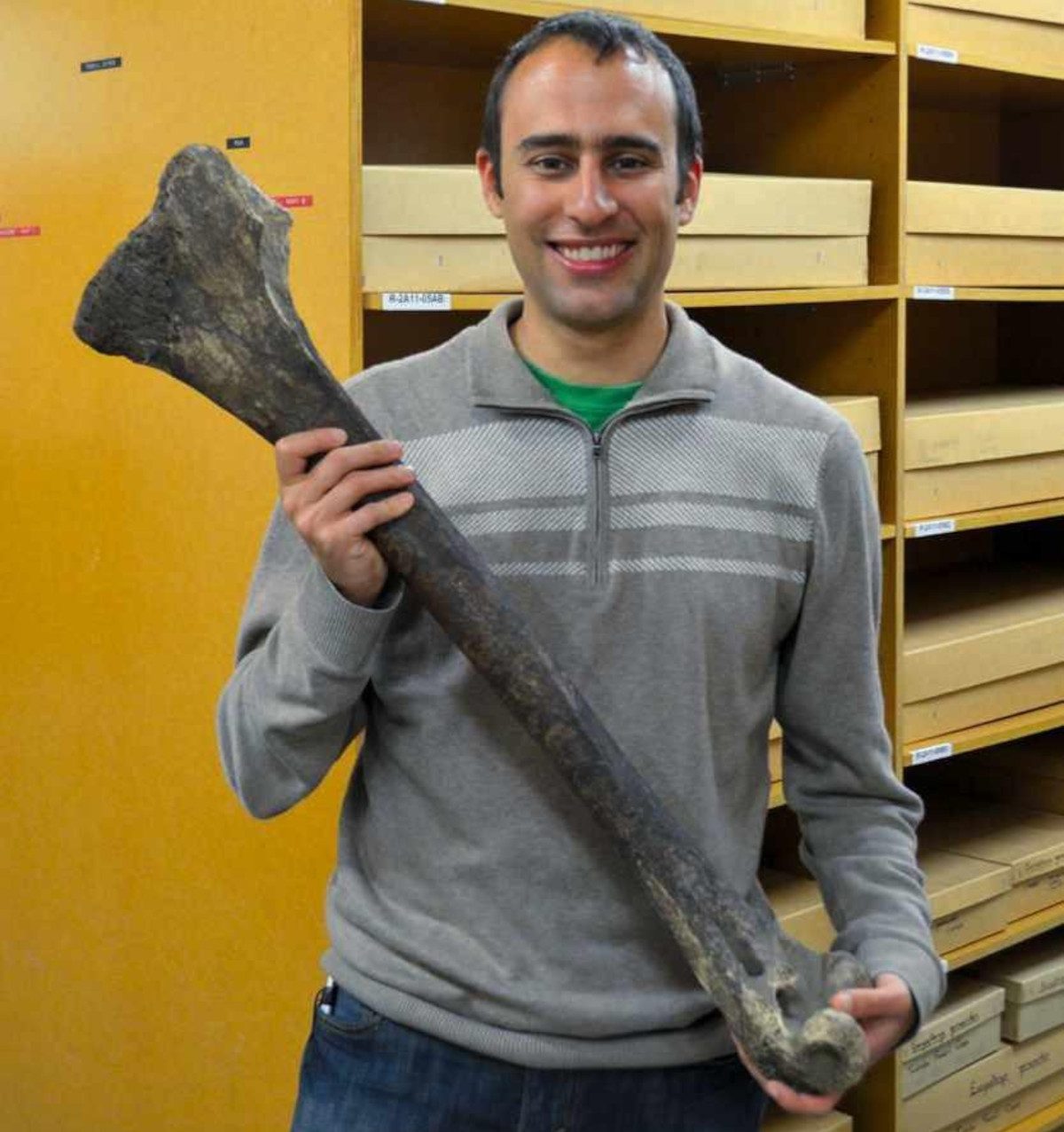 Prof Steve Brusatte holding a moa leg bone, from the Te Papa collection at the Museum of New Zealand 