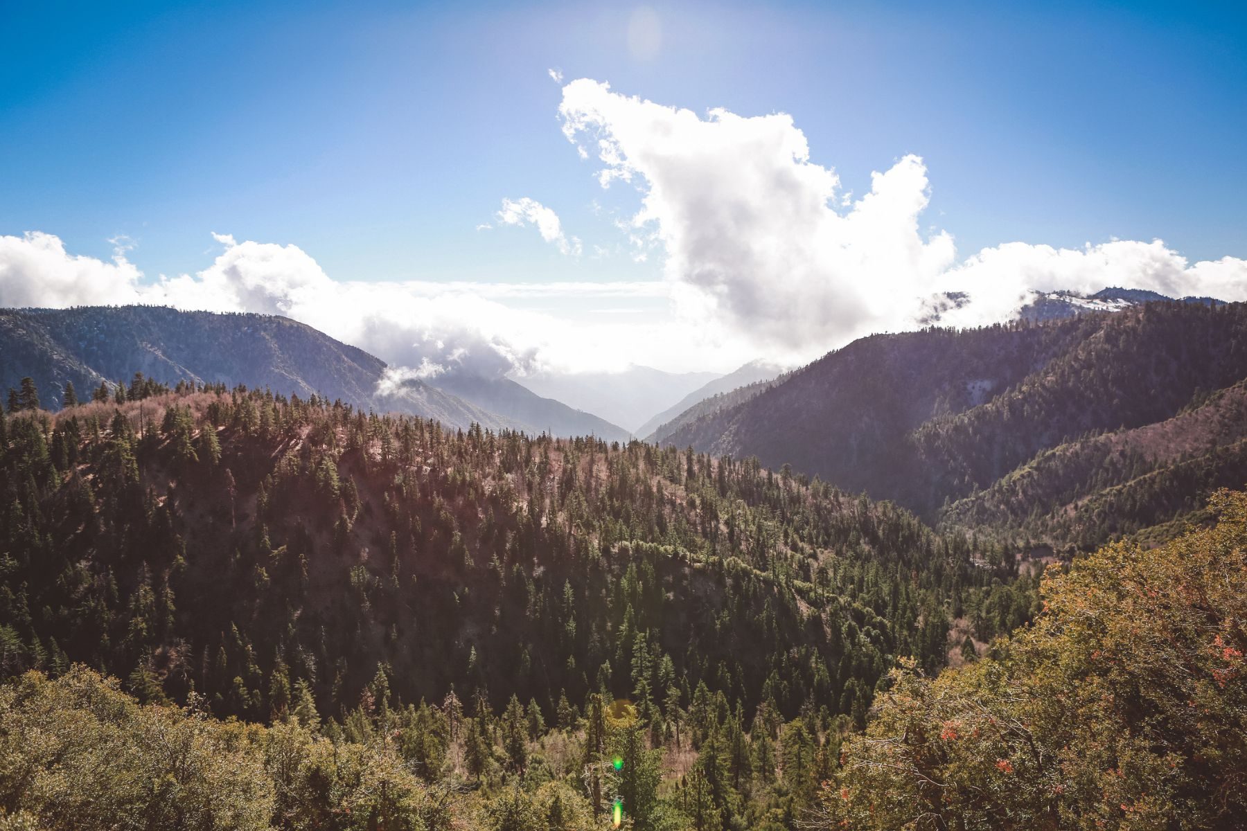 San Bernadino mountains