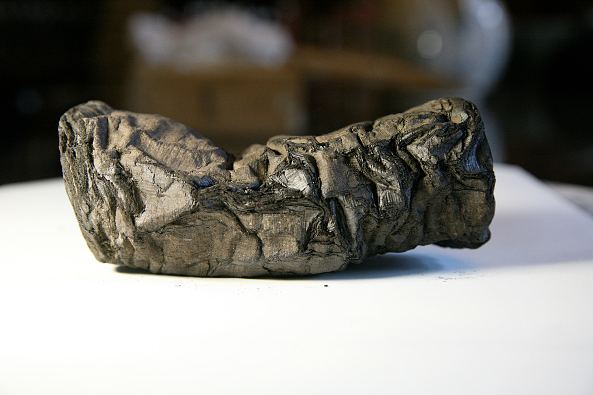 Photo of a carbonised ancient scroll from Herculaneum