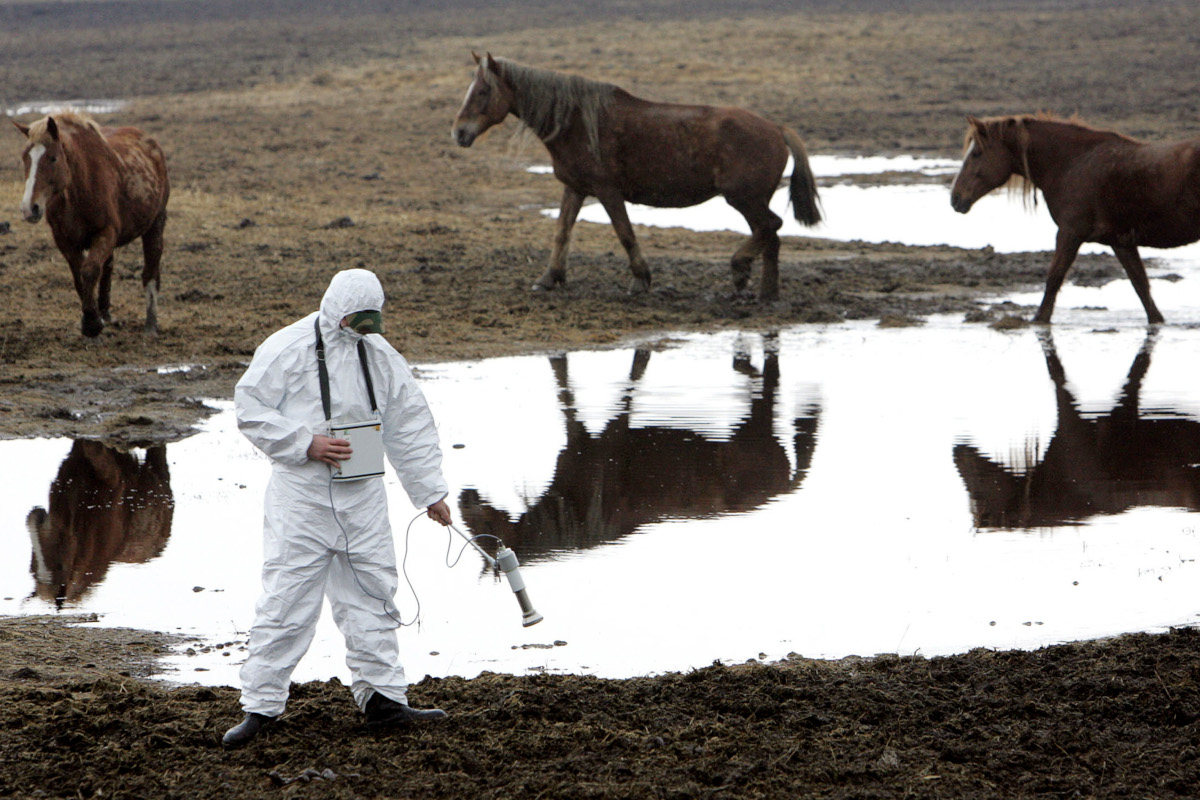 A worker of the Belarussian radiation ecology reserve measures the level of radiation at Belarussian village Vorotets, horses are behind the person