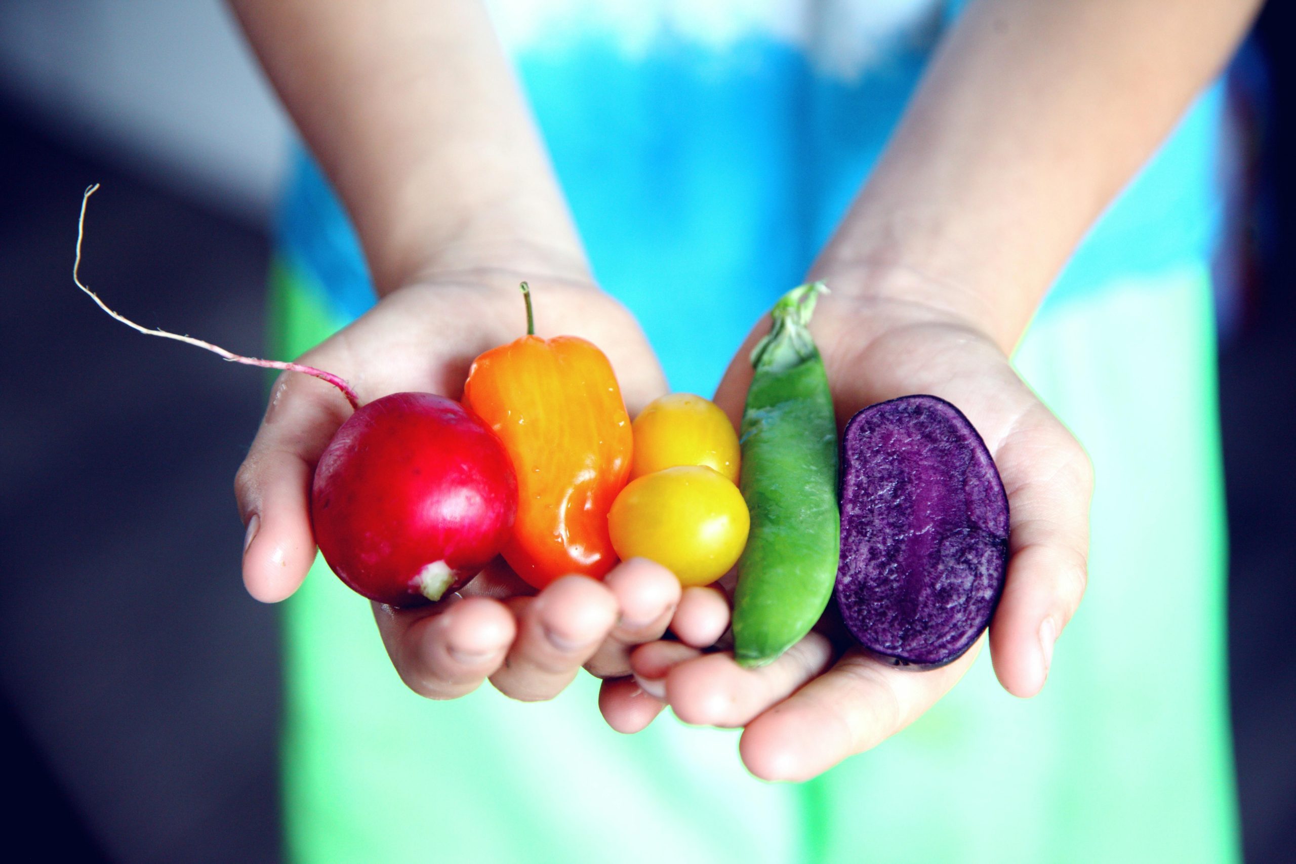 Hands holding a rainbow assortment of vegetables