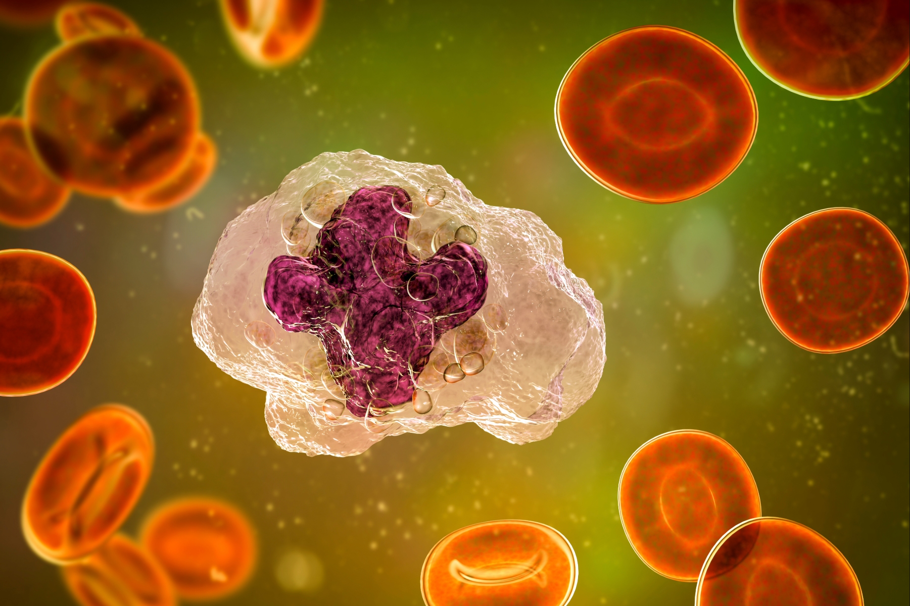 Illustration of a macrophage.