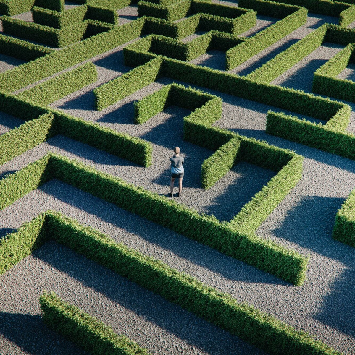 Aerial photo of a person stuck in the middle of a hedge maze