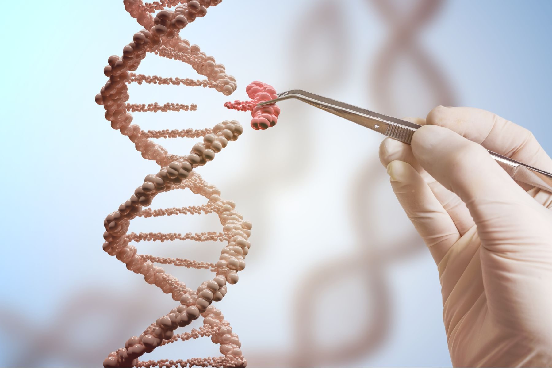 A gloved hand uses tweezers to remove a piece of DNA