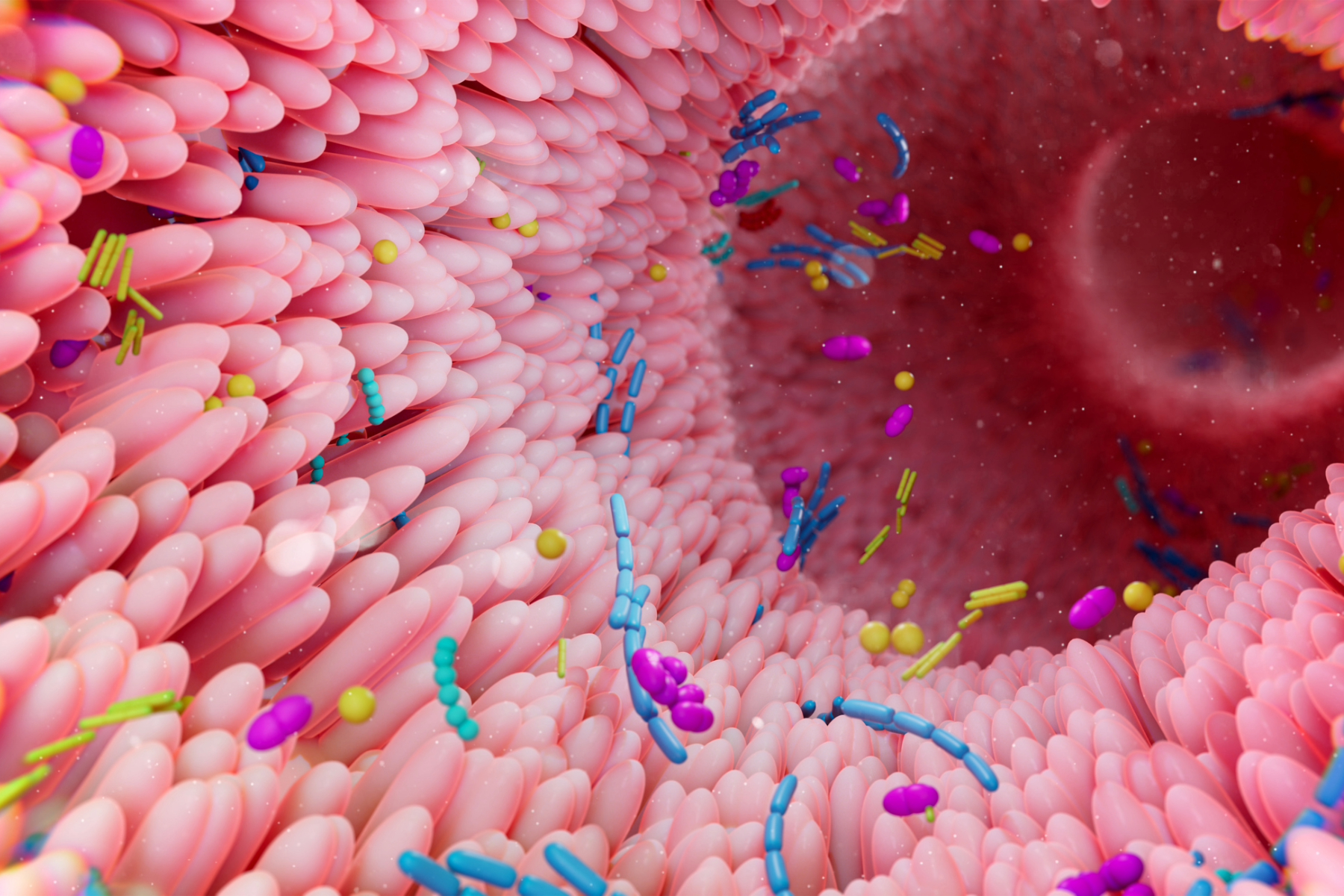Gut with bacteria
