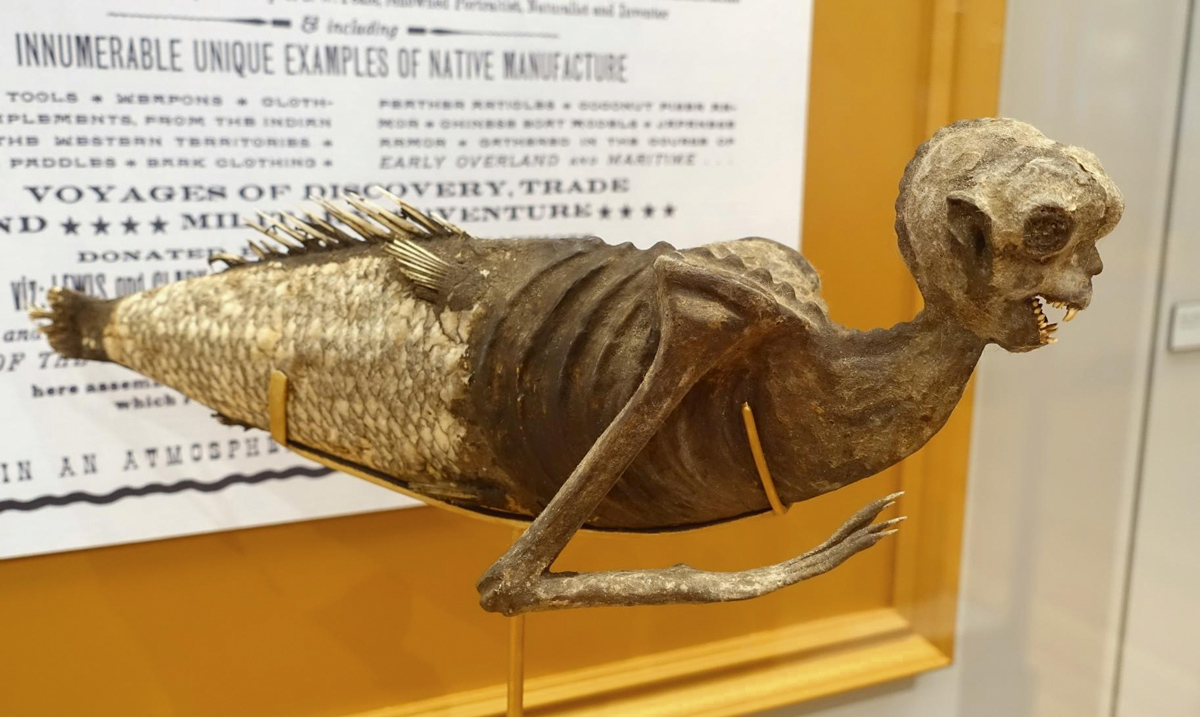The fiji 'mermaid' - a human skeleton attached to a fish tail.