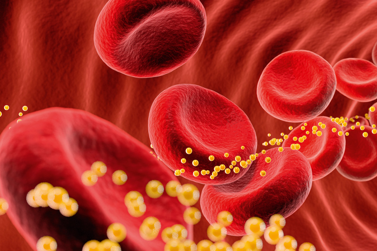 Illustration of a bloodstream with cholesterol