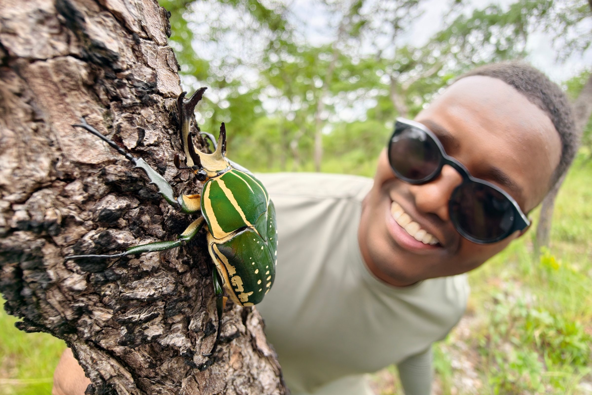 Man looking at large beetle on tree.