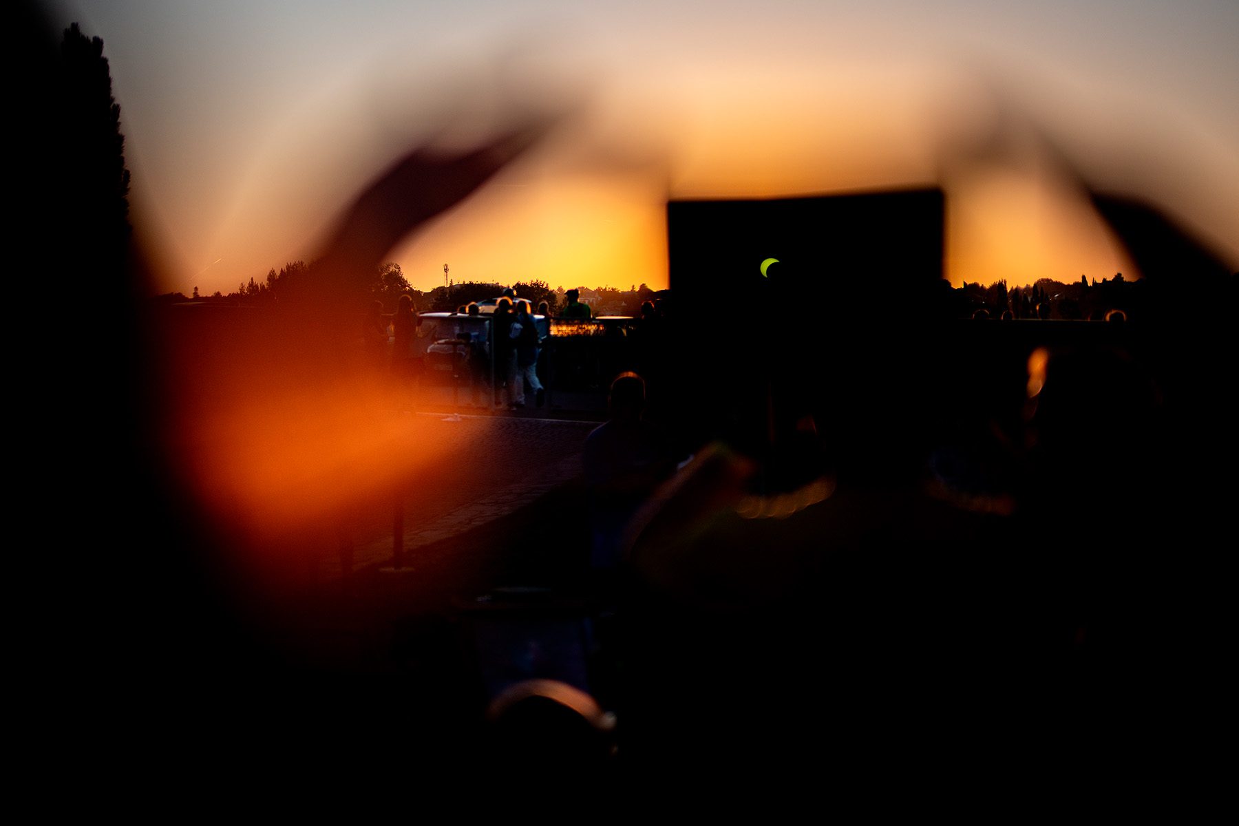 person watching a partial eclipse on a screen