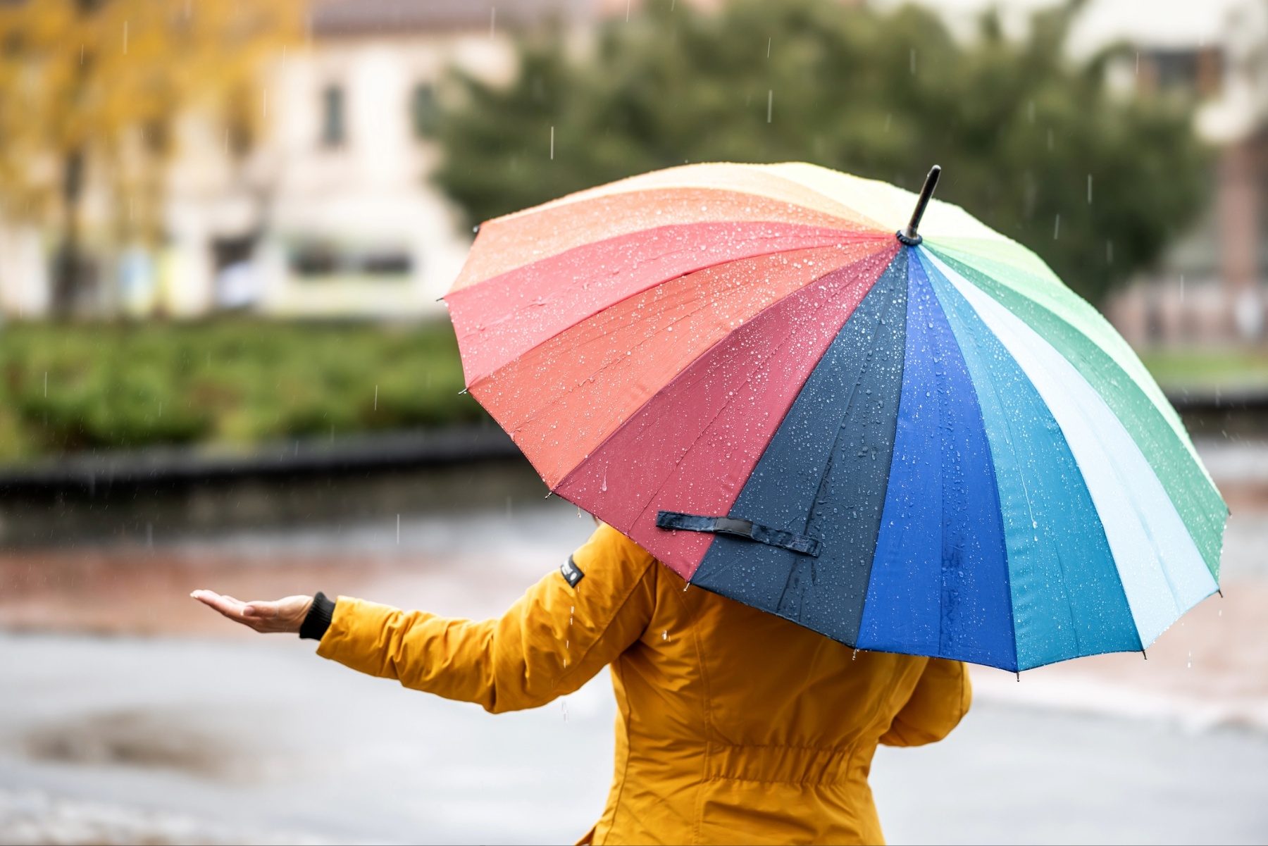 Person holding umbrella in the rain.