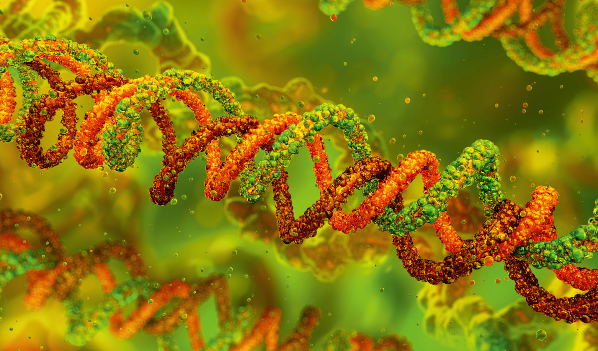 Illustration showing the triple-helical structure of collagen, the main structural protein in connective tissues.