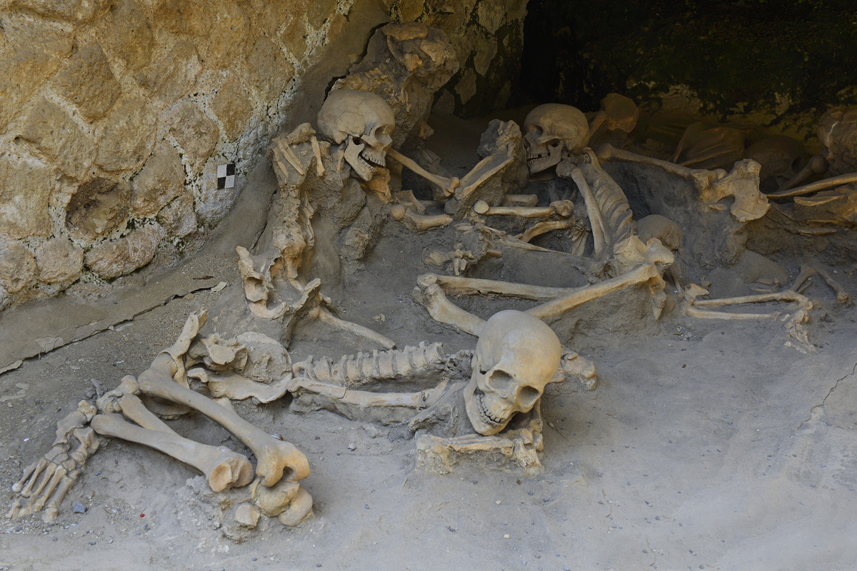 Preserved bones found at the Herculaneum excavation site