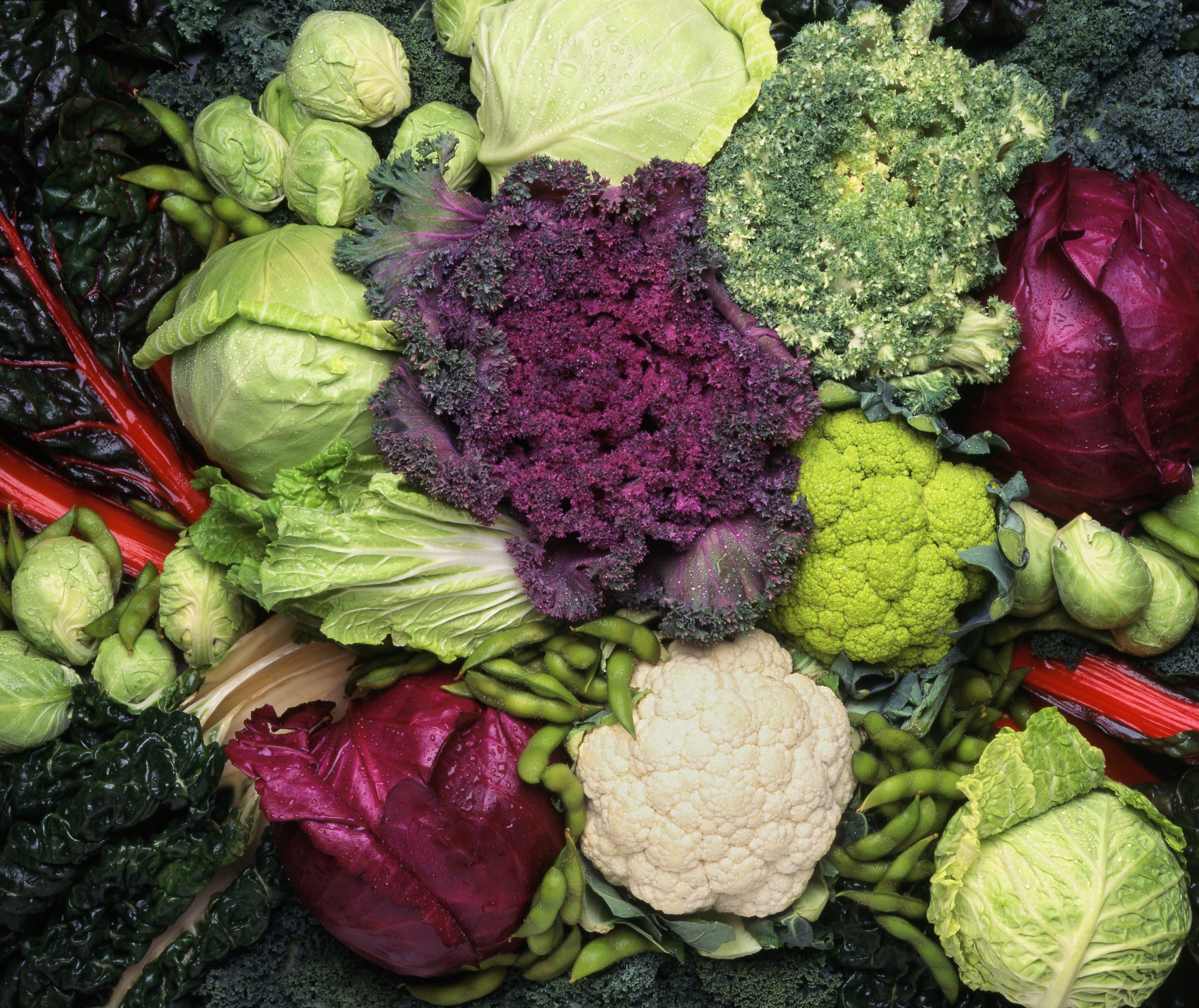 Top Doctors Recommend Daily Nutrients to Help Manage Anxiety in the Brain 1 GettyImages 157439382 scaled