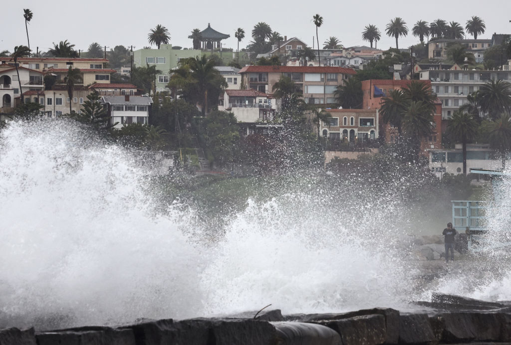 Houses and palm trees stand in the background of crashing waves