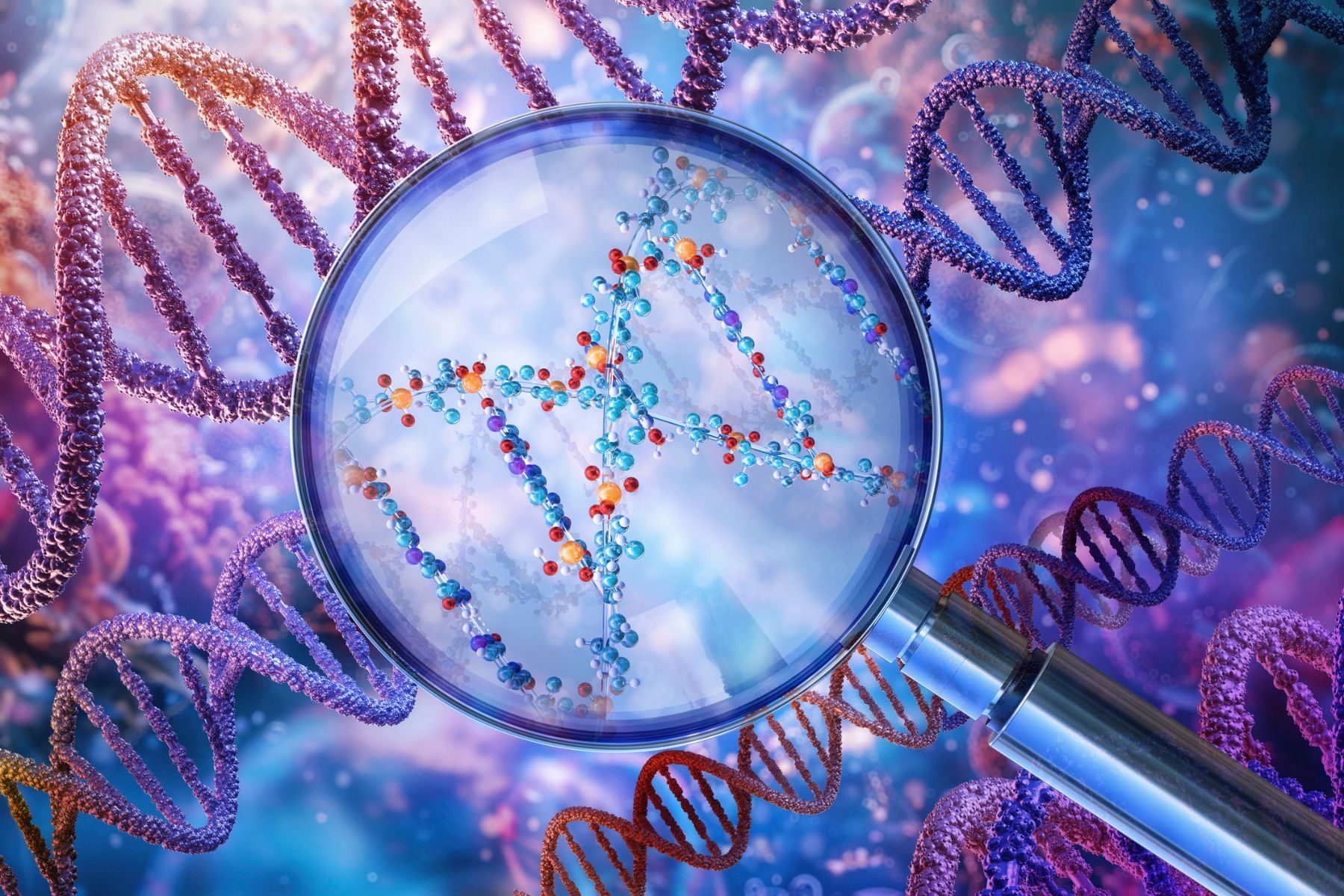 A graphic representing DNA