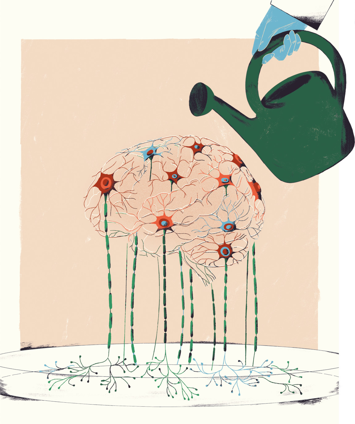 Illustration of someone watering a brain in a dish