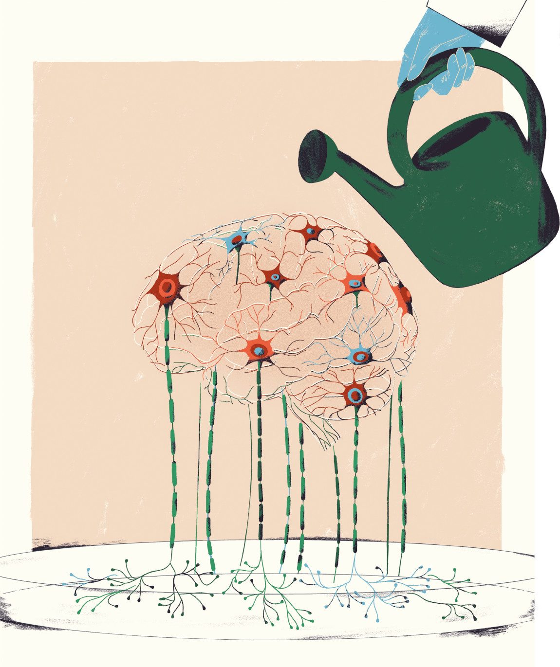 Illustration of someone watering a brain in a dish