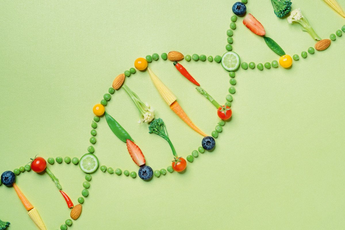 Image depicting a strand of DNA made up of fruit and vegetables.