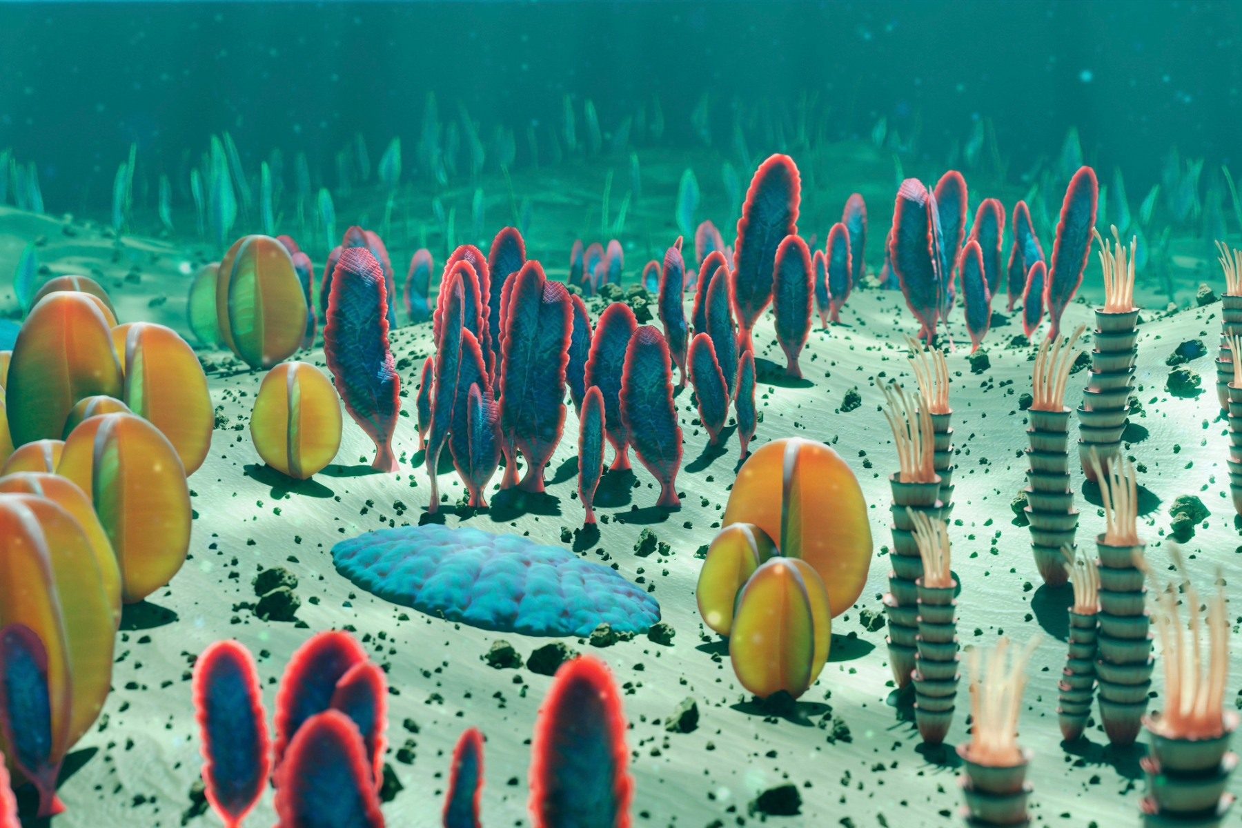 Illustration of life in the Ediacaran period