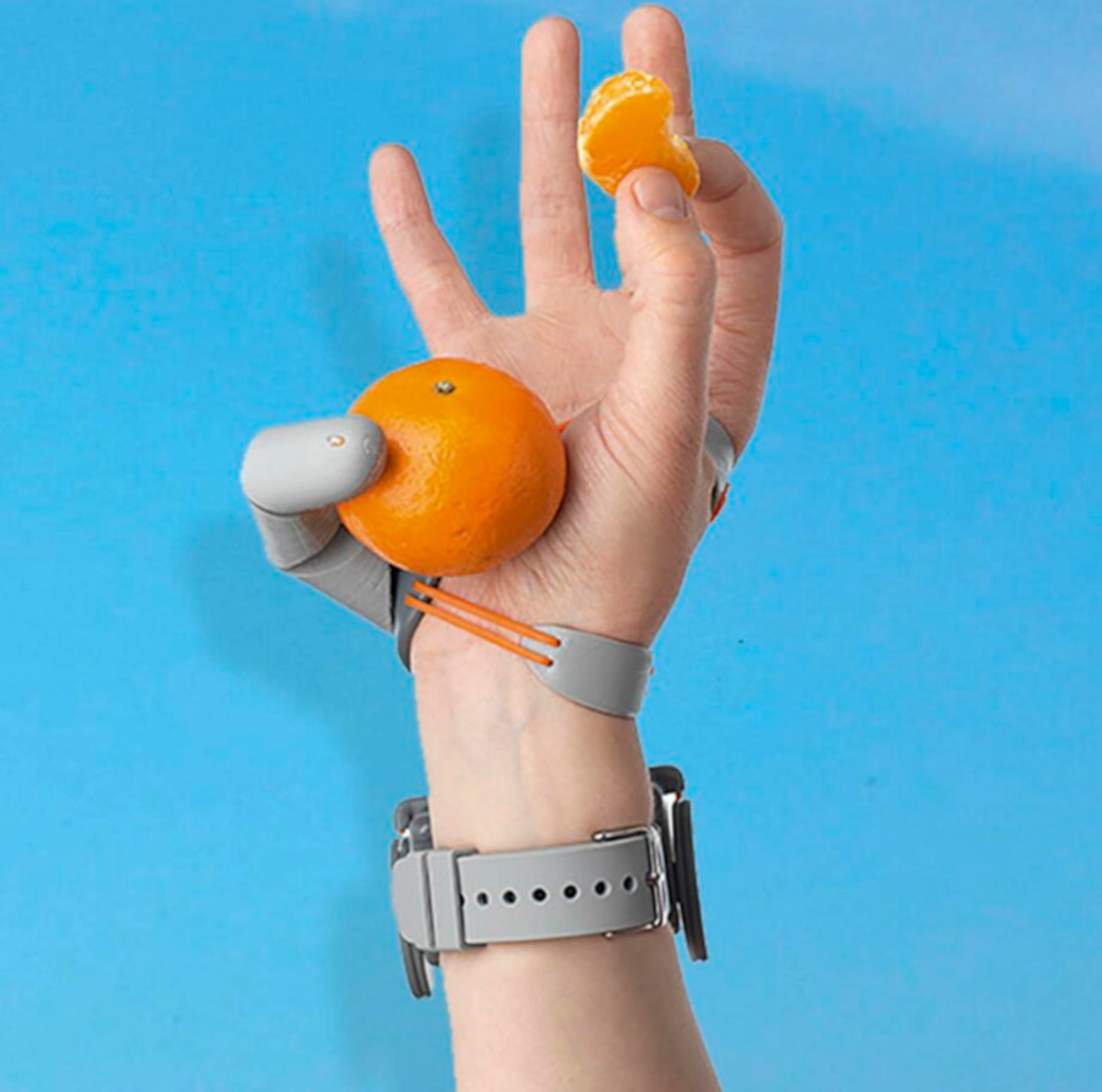 Photo of a person's hand with an extra robotic thumb attached, holding a whole satsuma and a segment at the same time