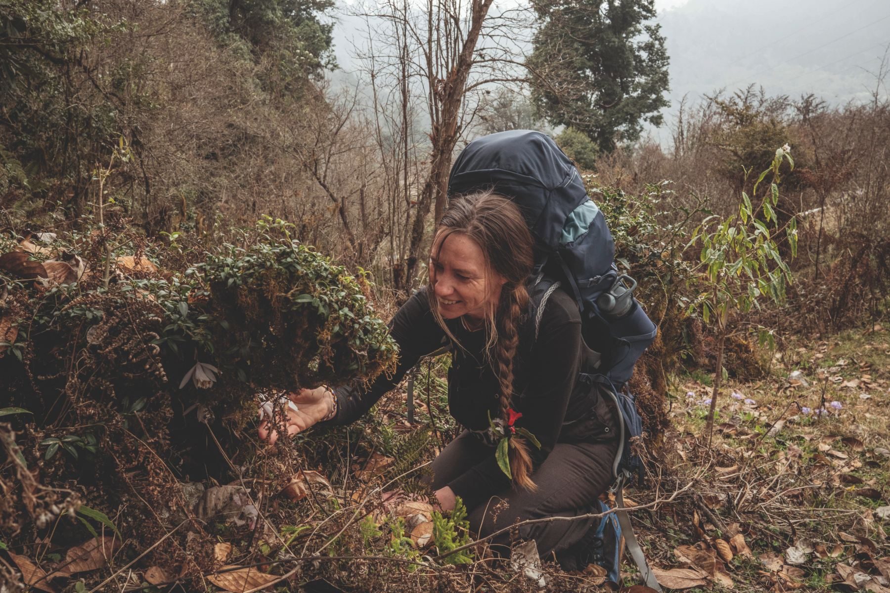 biologist taking a sample from under a dead tree
