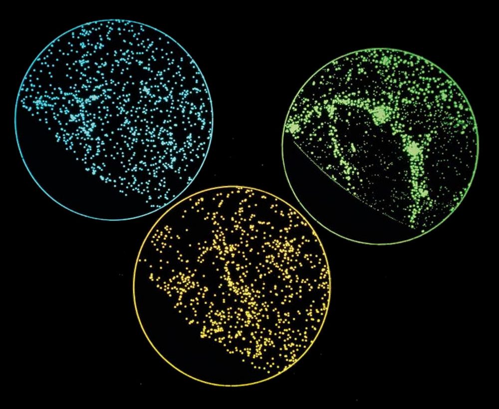 Two simulations of how galaxies are distributed (blue and green) compared with observed galaxies within 150 million light years of Earth (gold)