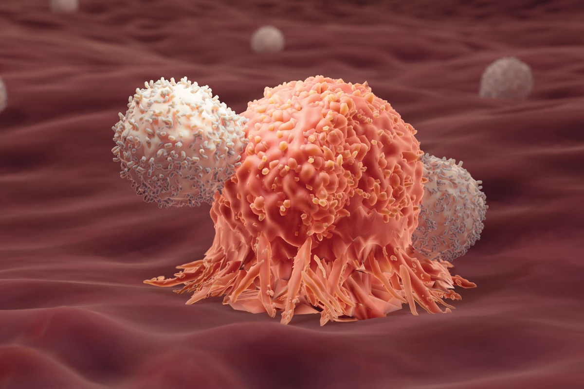 An illustration showing a cancer cell being attacked by two T-cells