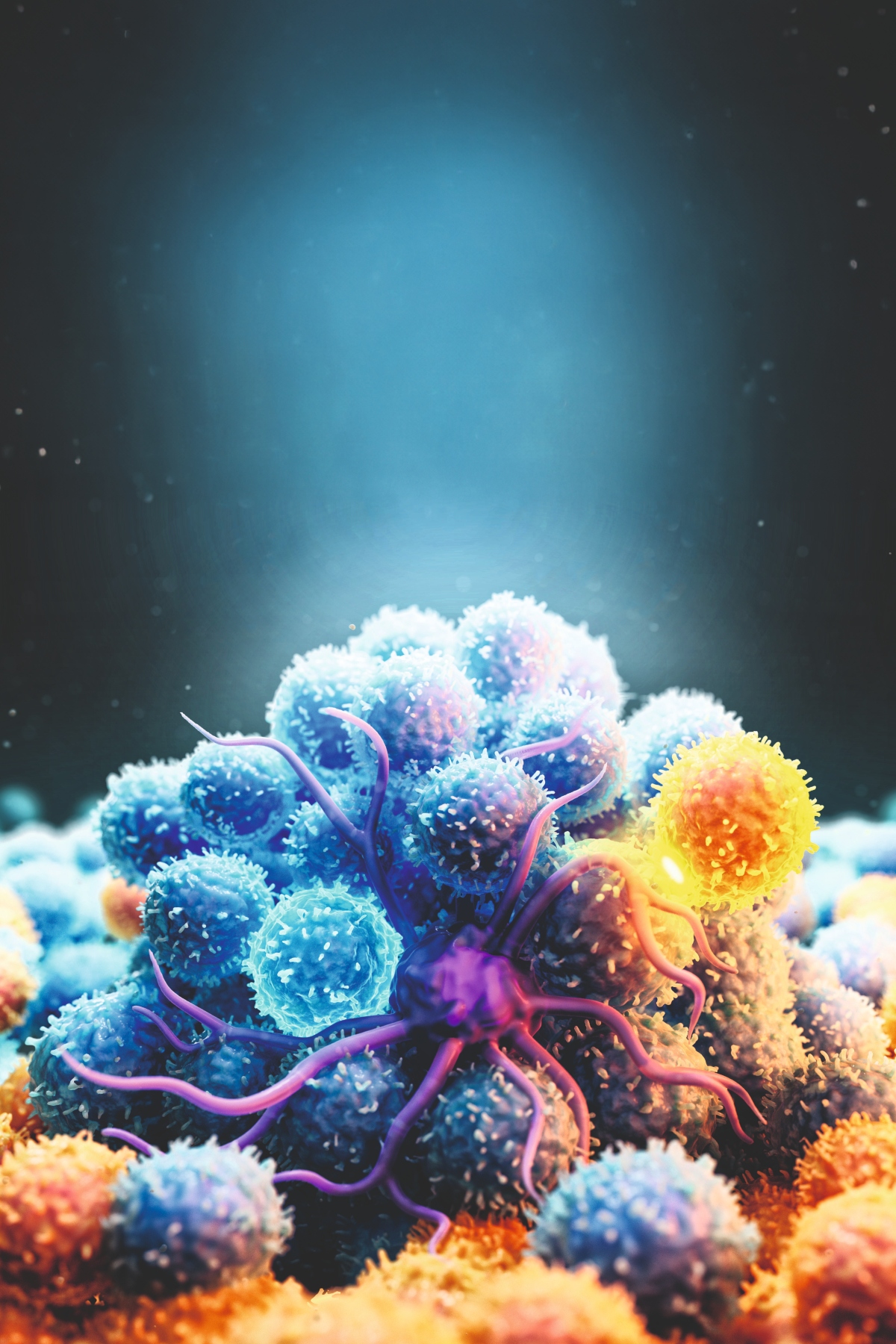 An immune system responding to a purple antigen