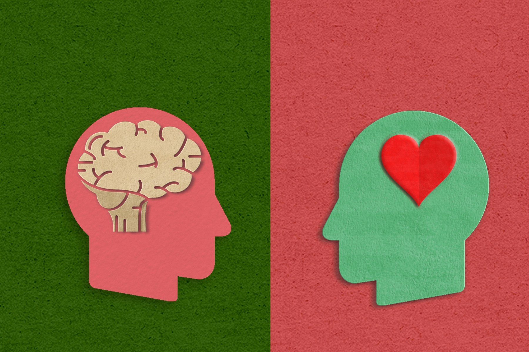 A heart and a brain