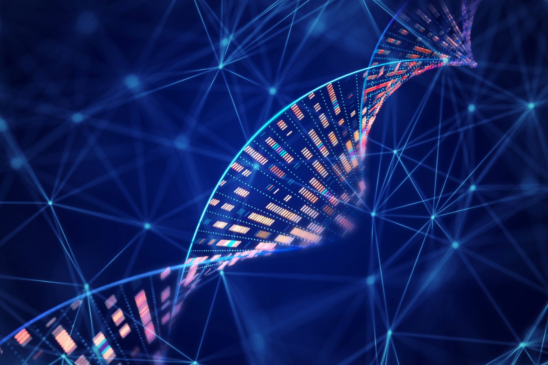 DNA double helix