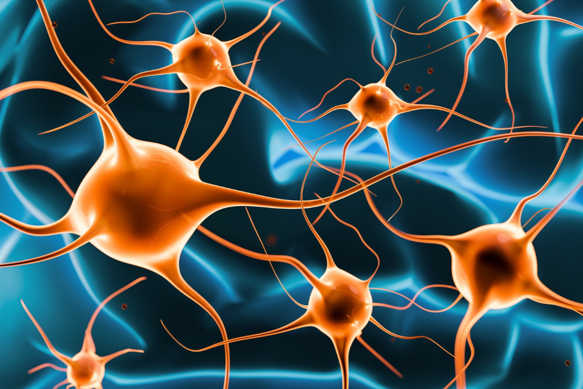 3D illustration of interconnected orange color neurons transmitting signals through a complex neural network. Scientific visualization of brain function, synaptic communication, neuroscience research, cognitive processes, memory, learning, artificial intelligence, and neurological health on a dark blue background.