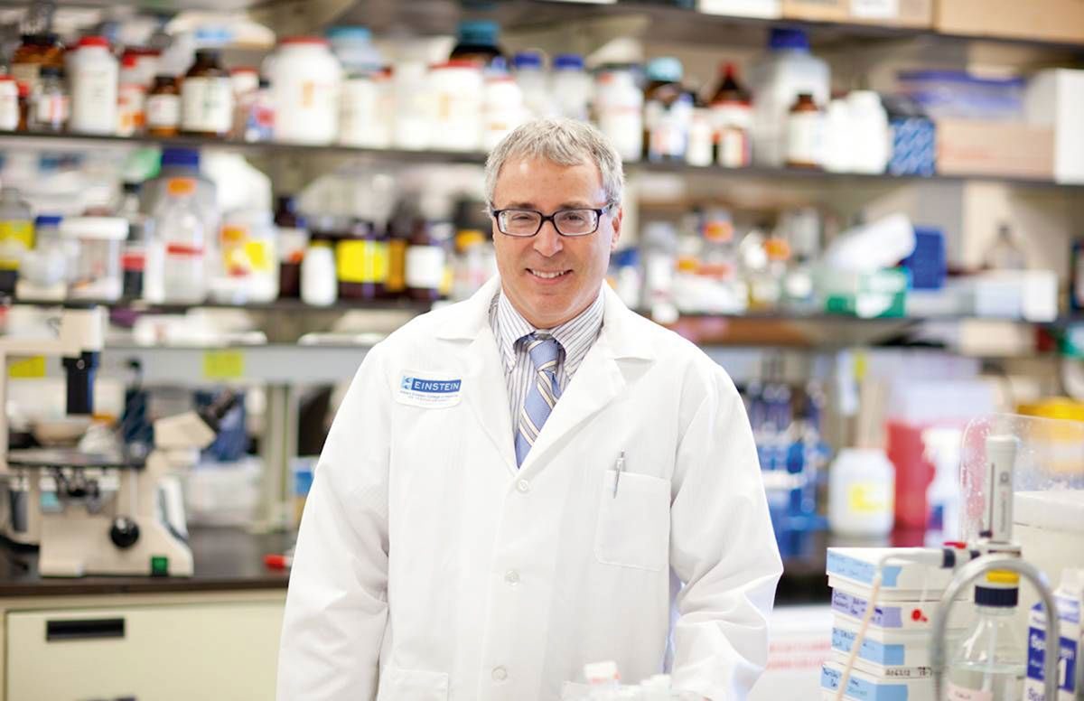 Dr Nir Barzilai and his team are investigating ways of increasing human healthspans © Albert Einstein College of Medicine Dr Nir Barzilai