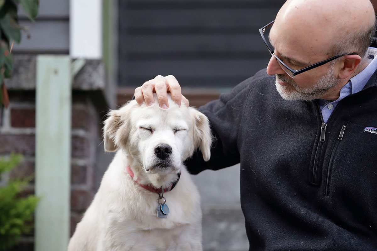 Dog and owner