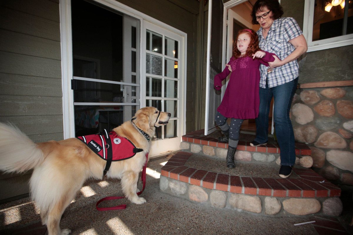 A seizure alert dog looks on as a mother helps her blind daughter down the stairs on the outside of a house